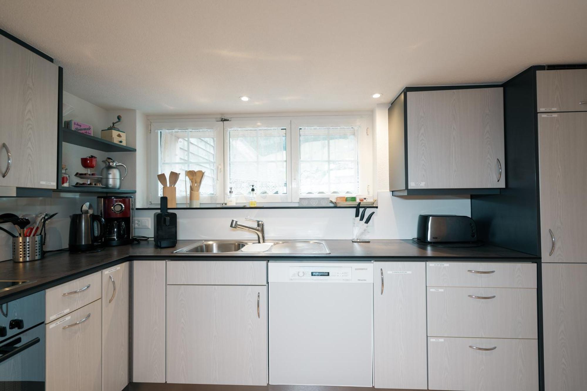Large Apartment 8Beds Great For Family And Friends, Mountain View Amden Extérieur photo